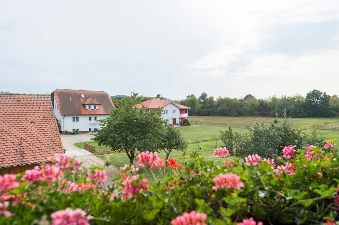 Gasthaus-Pension Hofmann Oberdachstetten Ngoại thất bức ảnh